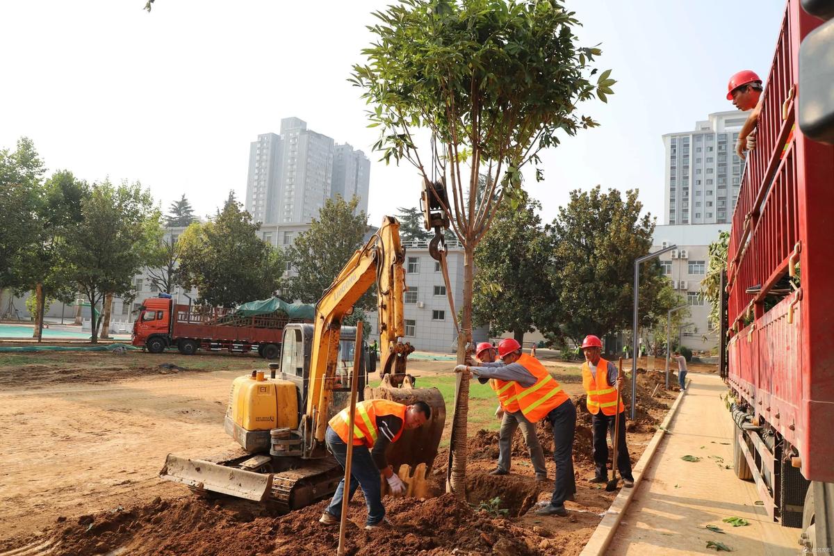 周口苗木绿化工程 专业绿化施工助力绿色园林建设