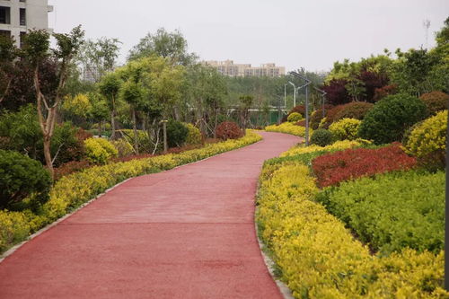 临沂在线 城市绿化管理的智慧引擎