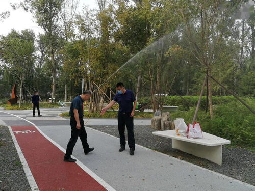 区园林绿化局采取'四不两直'方式深入检查城市森林建设工程及园林绿化工程施工