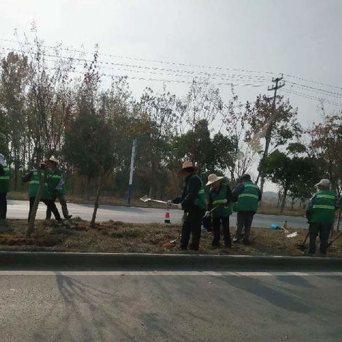 经开区市政园林绿化工程推荐 秋乐园林，价格优惠助力城市绿化管理