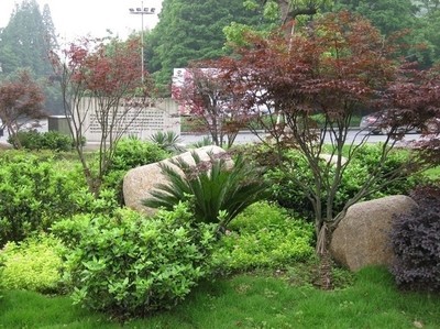 上海园林绿化工程与苗木批发价格全解析