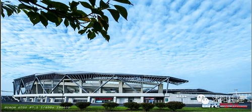 住建局小编和你聊聊 买房时，别忽略城市绿化管理