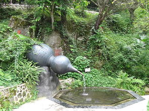 园林与建筑 从设计到施工的全方位服务