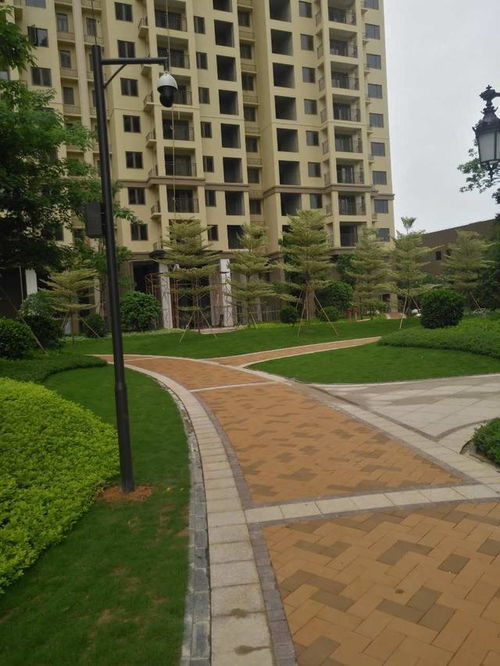 惠州龙光城绿化工程 园林绿化施工的典型案例