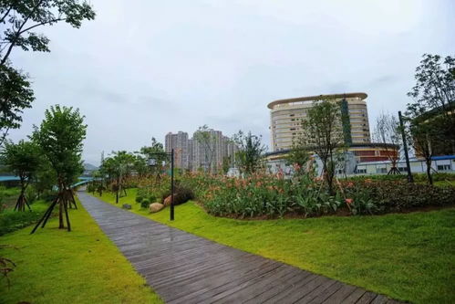 《龙岩市城市绿化条例》2020年施行 绿化带禁止停车种菜，规范园林绿化工程施工