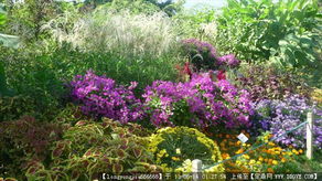 园林绿化工程全流程资料指南 从设计图纸到实景落成