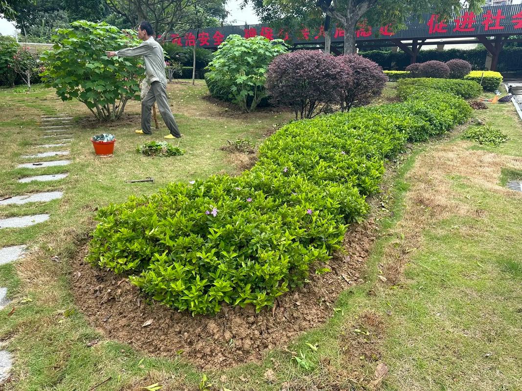 深耕园林养护与苗木产业，共筑城市绿色生态未来