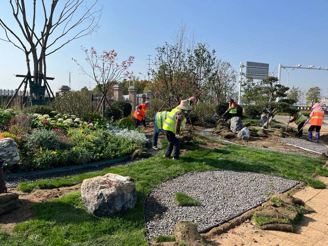 园林绿化工程施工现场实拍 匠心营造绿色家园