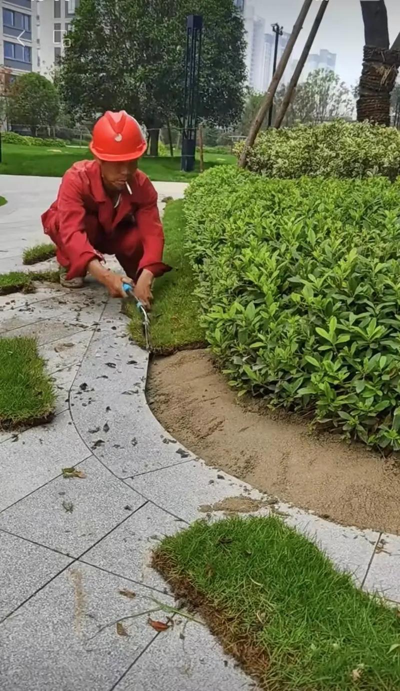 市政园林绿化工程 从精细化施工到智慧化管理，打造宜居美丽城市