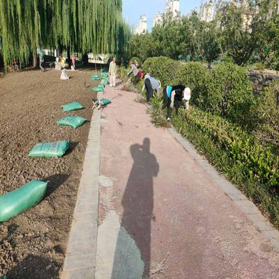种植营养土 园林绿化工程的基石——从2kg/袋的细节到多年施工经验